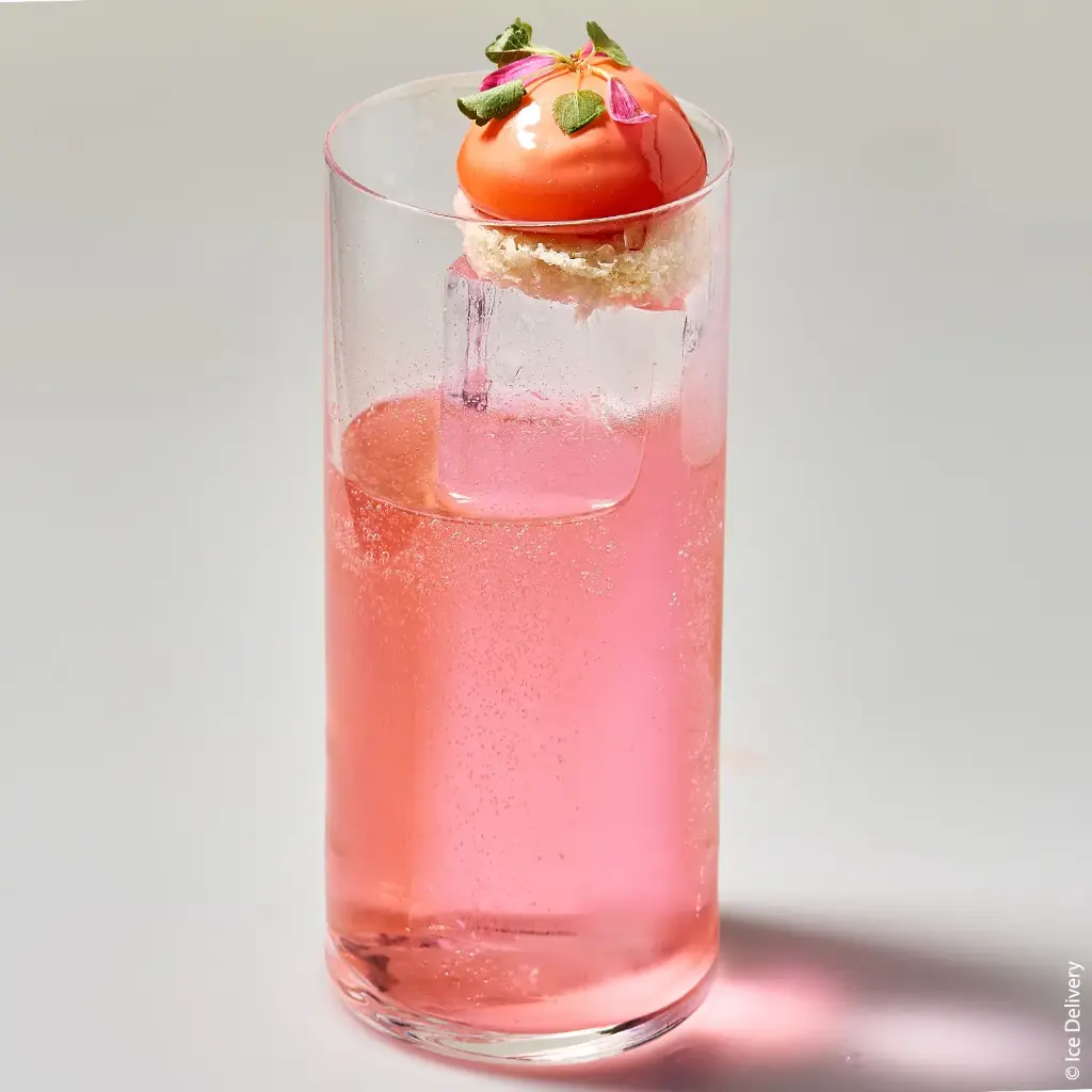 glacon-collins-verre-luigi-bormioli-37,5cl-puy-de-dome-clermont-ferrand.webp