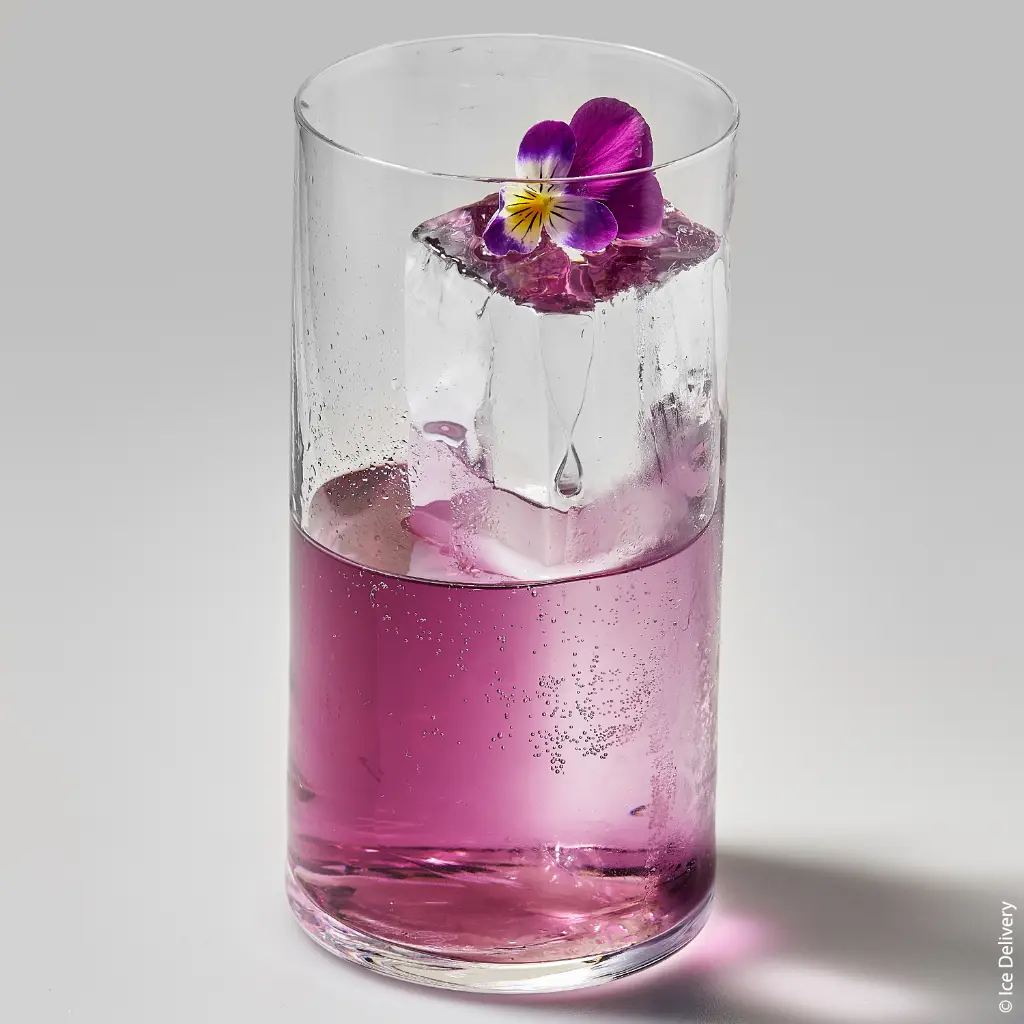glacon-collins-verre-luigi-bormioli-37,5cl-puy-de-dome-clermont-ferrand.webp