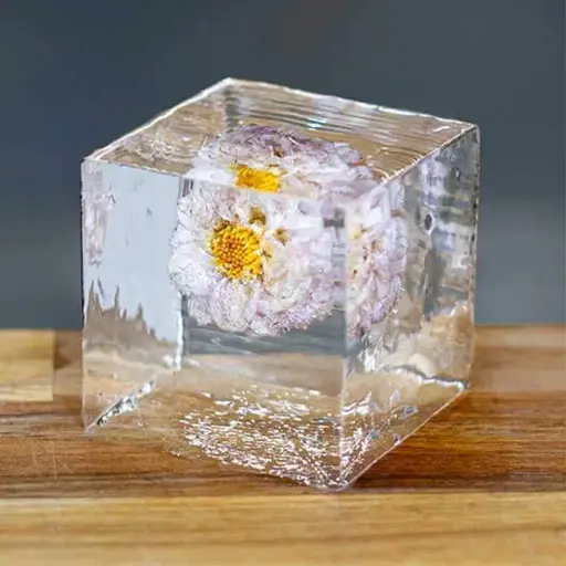 Glaçons Perfect Inclusion Clear Ice