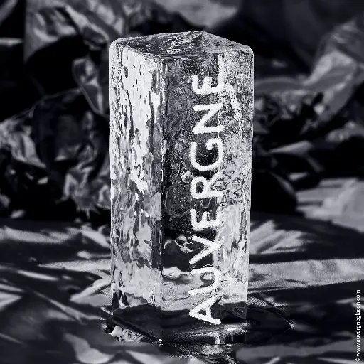 Glaçons personnalisés à l'unité,  gravés à votre marque, logo ou motif (frais de calibration en sus)